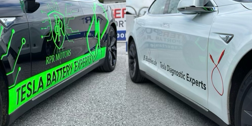 Partnerschaft mit den E-Buddies 1 IMG 6446